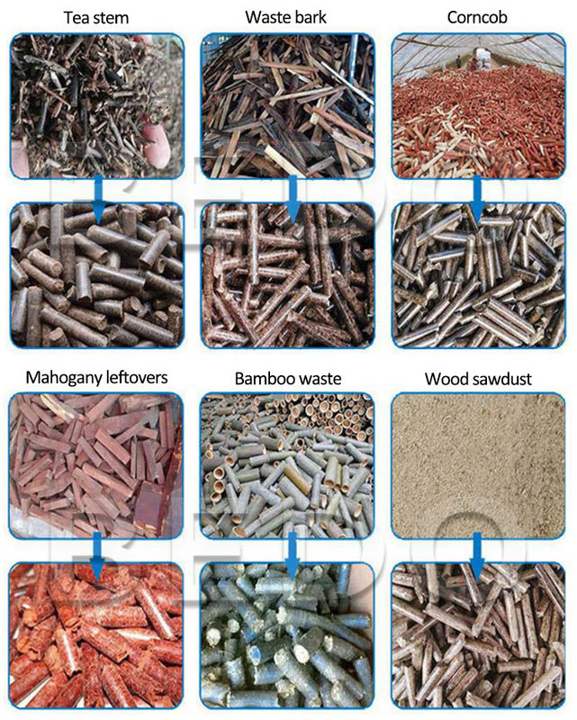 55KW Customized Sawdust Pellet Machine Stainless Steel Wood Pellet Maker